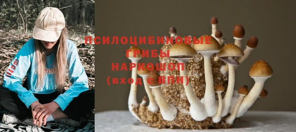 ALPHA PVP Пестово