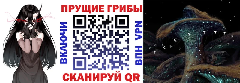 где можно купить наркотик Калачинск гидра tor Галлюциногенные грибы прущие грибы